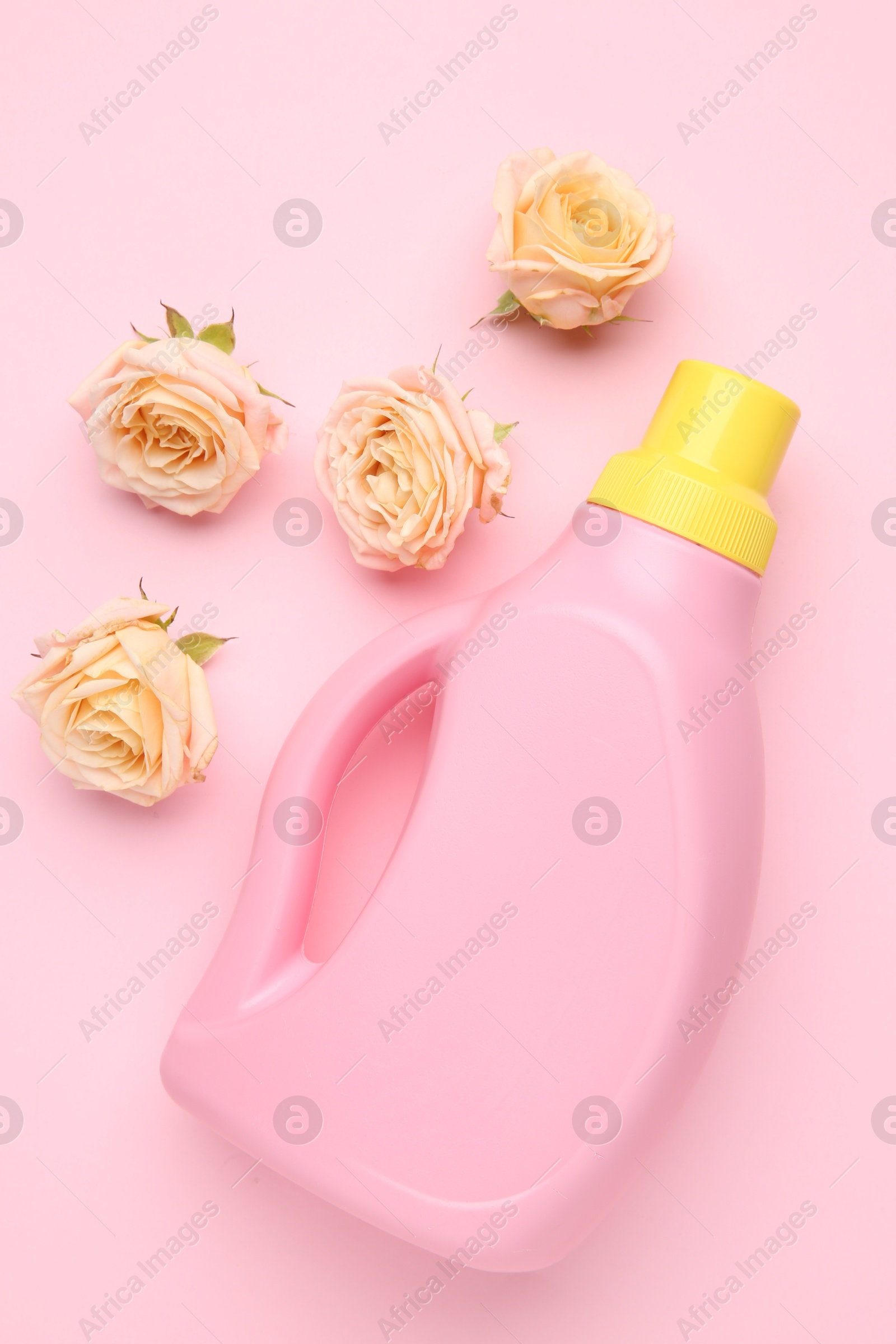 Photo of Bottle of laundry detergent and flowers on pink background, closeup