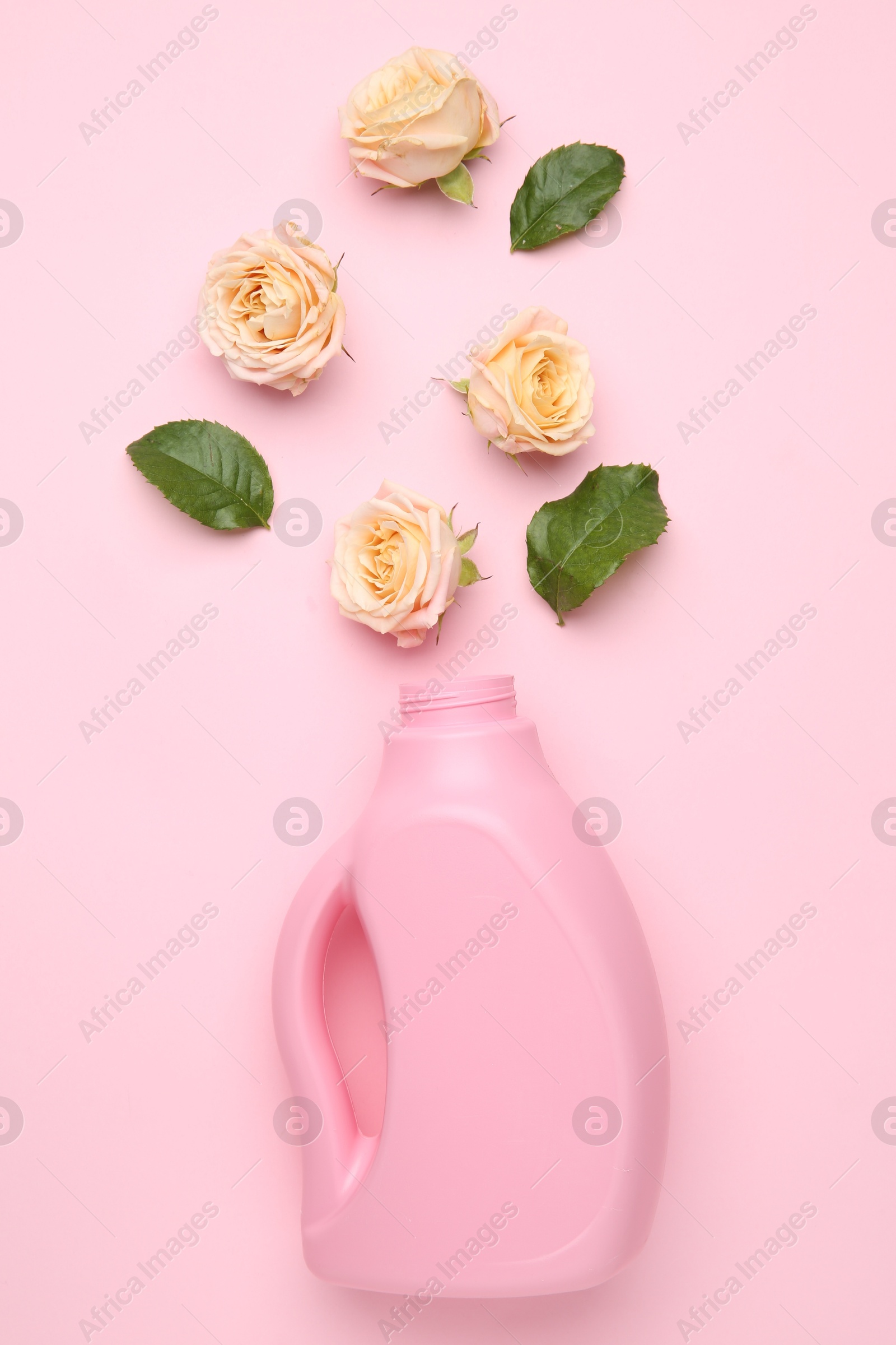 Photo of Bottle of laundry detergent, green leaves and flowers on pink background, closeup