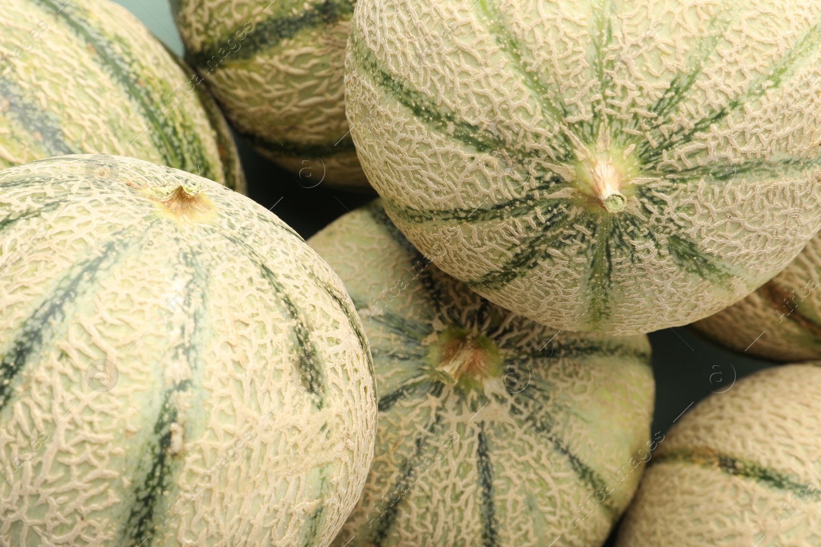 Photo of Many ripe Cantaloupe melons as background, top view