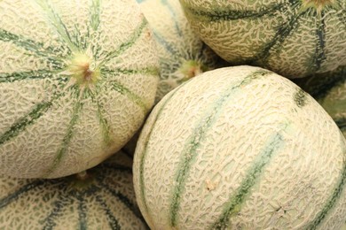 Photo of Many ripe Cantaloupe melons as background, top view