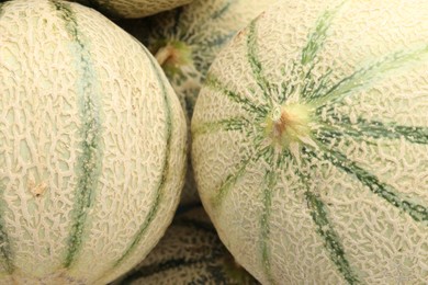 Many ripe Cantaloupe melons as background, top view