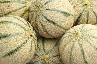 Many ripe Cantaloupe melons as background, top view