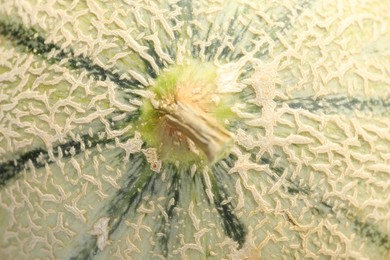 Photo of One ripe Cantaloupe melon as background, top view