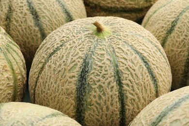 Photo of Many ripe Cantaloupe melons as background, closeup