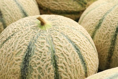 Photo of Many ripe Cantaloupe melons as background, closeup