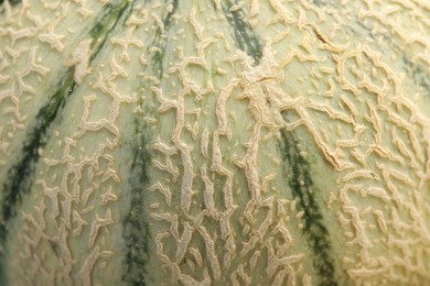 Photo of One ripe Cantaloupe melon as background, closeup