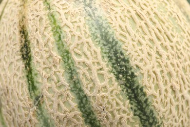 One ripe Cantaloupe melon as background, closeup