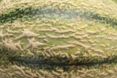 Photo of One ripe Cantaloupe melon as background, closeup