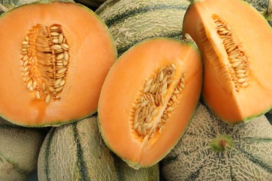 Many ripe Cantaloupe melons as background, top view