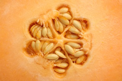 Photo of Cut Cantaloupe melon as background, top view