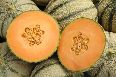 Many ripe Cantaloupe melons as background, top view