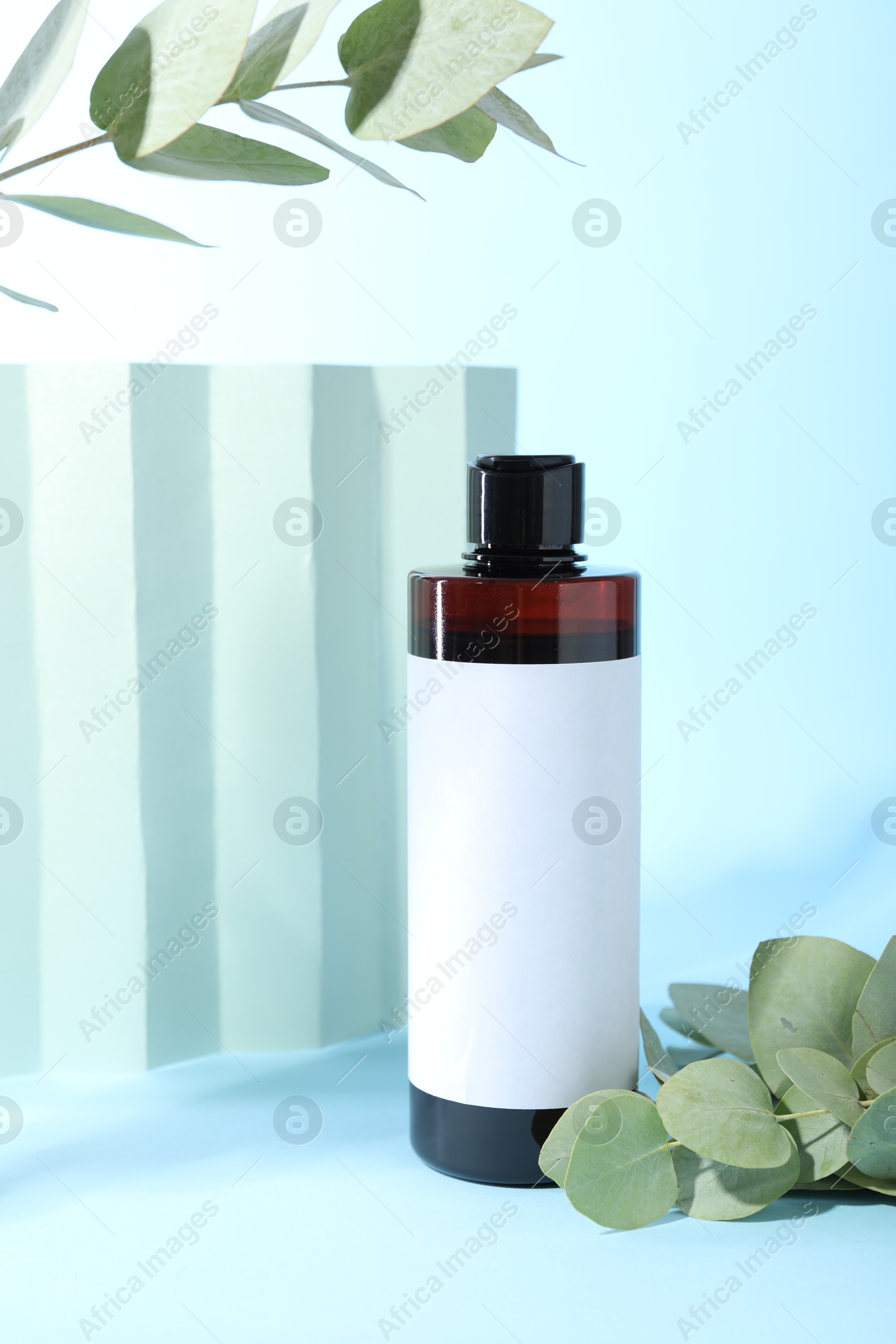 Photo of Shampoo in bottle and green eucalyptus leaves on light blue background