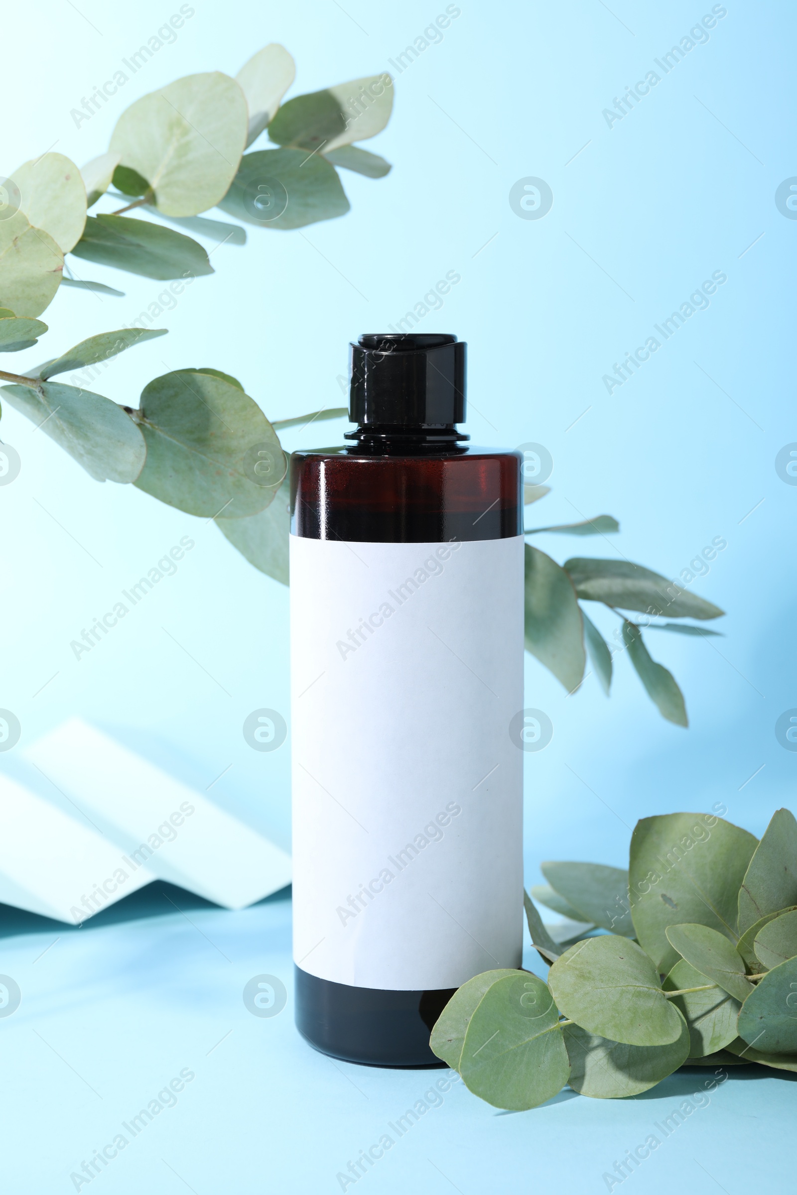 Photo of Shampoo in bottle and green eucalyptus leaves on light blue background