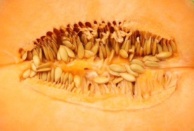 Cut Cantaloupe melon as background, top view