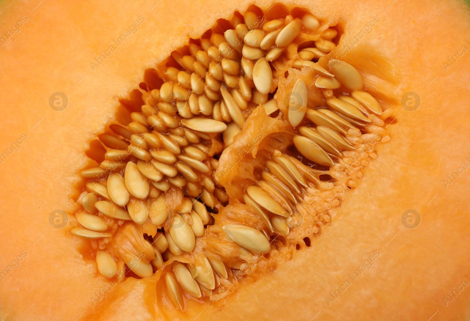 Photo of Cut Cantaloupe melon as background, top view