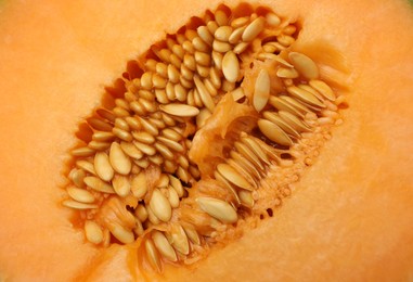 Photo of Cut Cantaloupe melon as background, top view