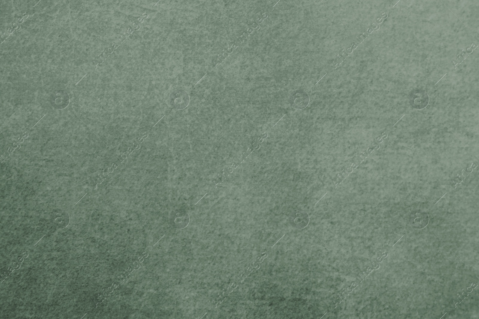 Image of Sage color parchment paper as background, closeup of texture