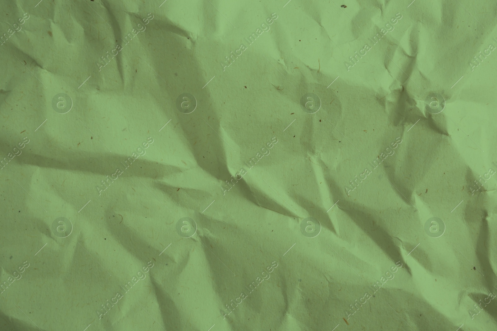 Image of Crumpled sage color parchment paper as background, closeup of texture