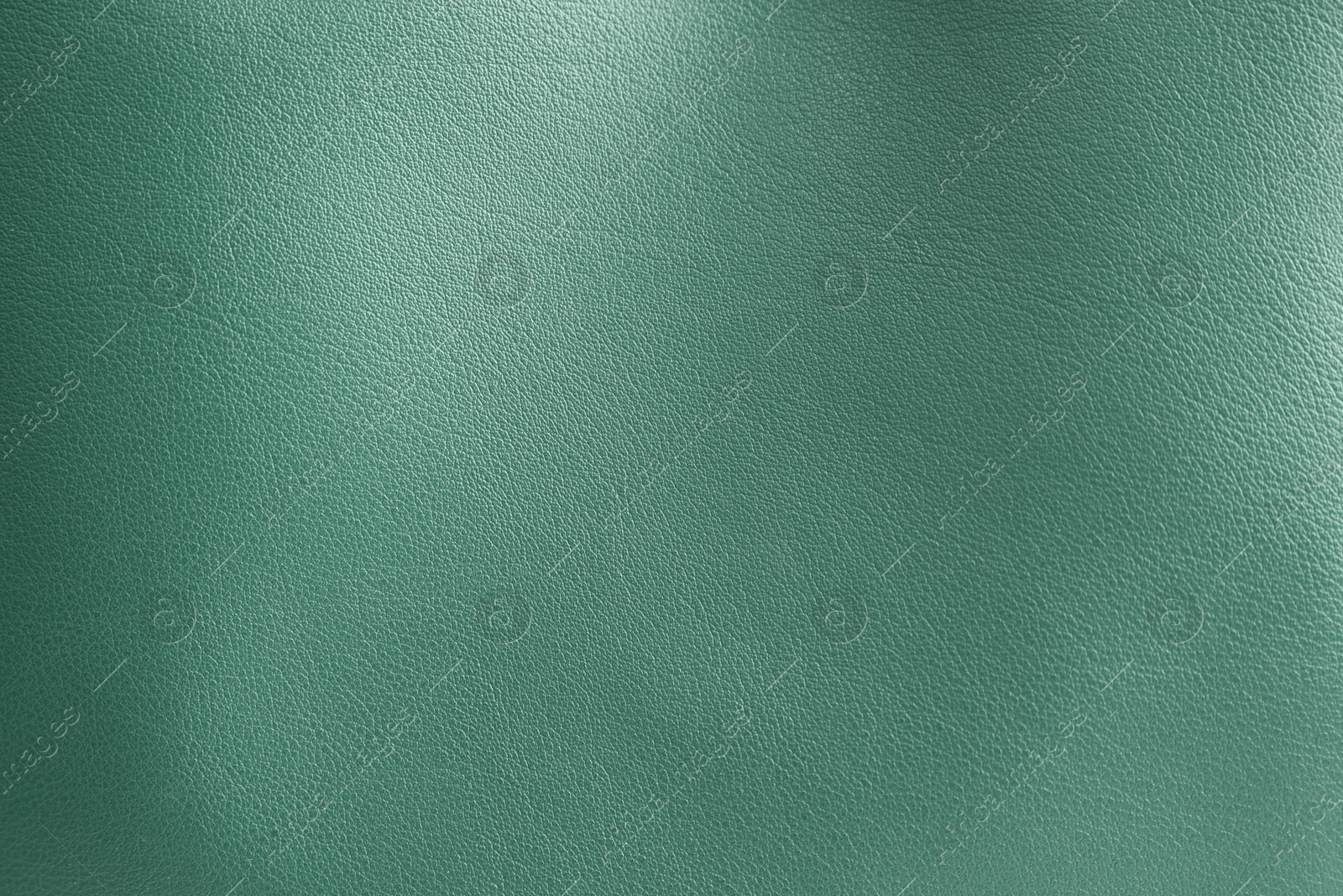 Image of Sage color leather as background, closeup view