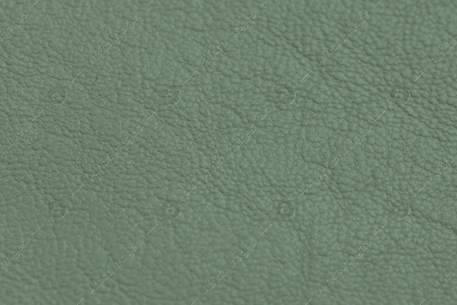 Image of Sage color leather as background, top view