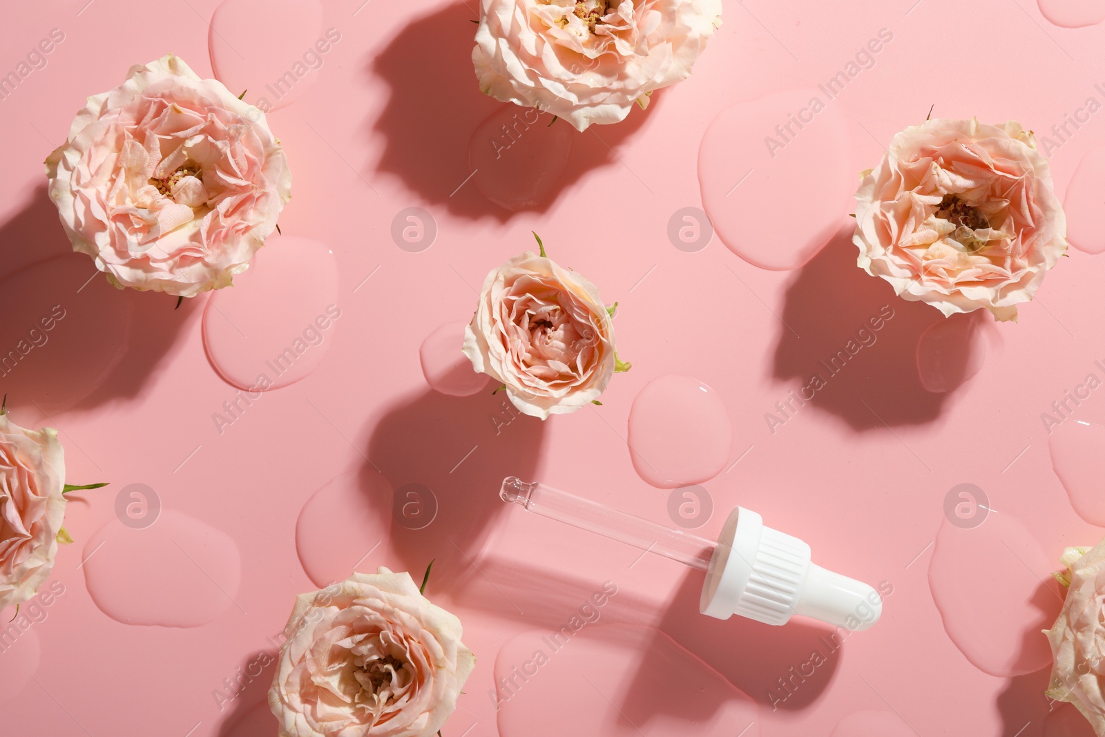 Photo of Beautiful rose flowers, pipette and drops of cosmetic serum on pink background, flat lay