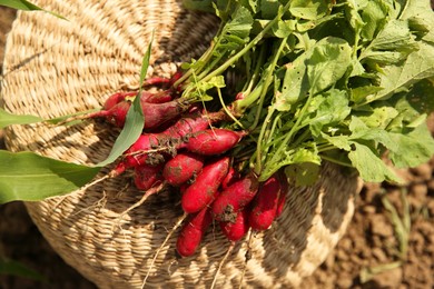 Photo of Bunch of freshly harvested radishes on wicker basket outdoors, top view