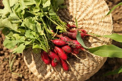 Photo of Bunch of freshly harvested radishes on wicker basket outdoors, top view