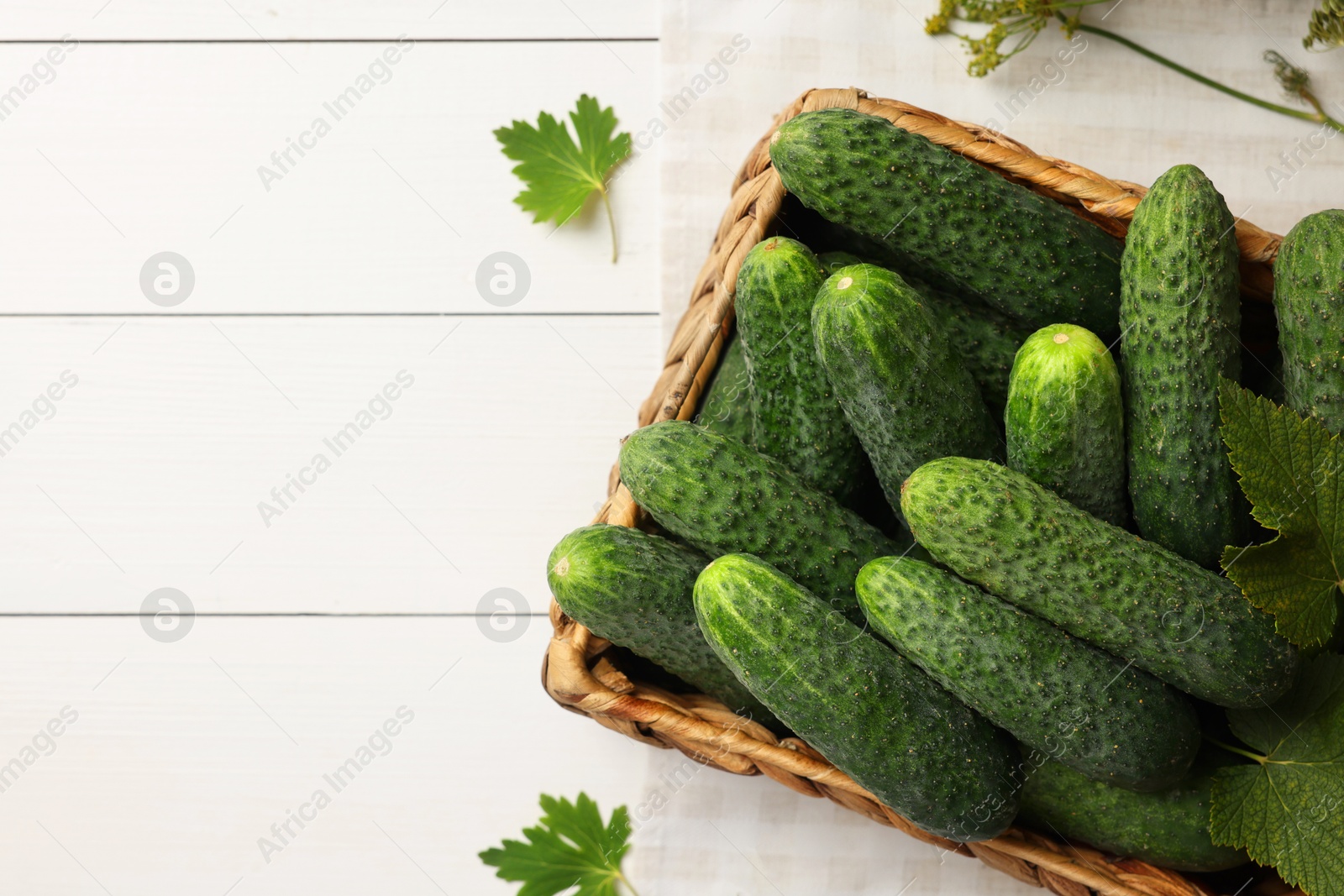 Photo of Fresh green cucumbers in wicker box and spices on white wooden table, top view. Space for text