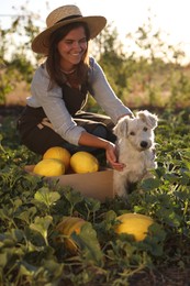 Photo of Smiling woman with cute dog and ripe melons in field