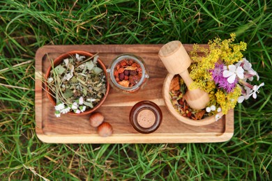 Photo of Tincture in bottle, different ingredients, mortar and pestle on green grass outdoors, top view