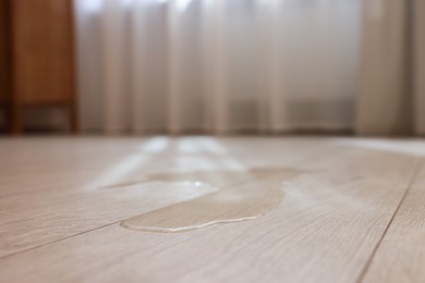 Photo of Puddle of liquid on wooden floor indoors, closeup. Space for text