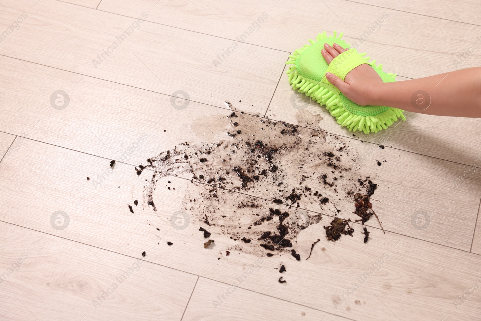 Photo of Woman cleaning dirt on wooden floor, closeup