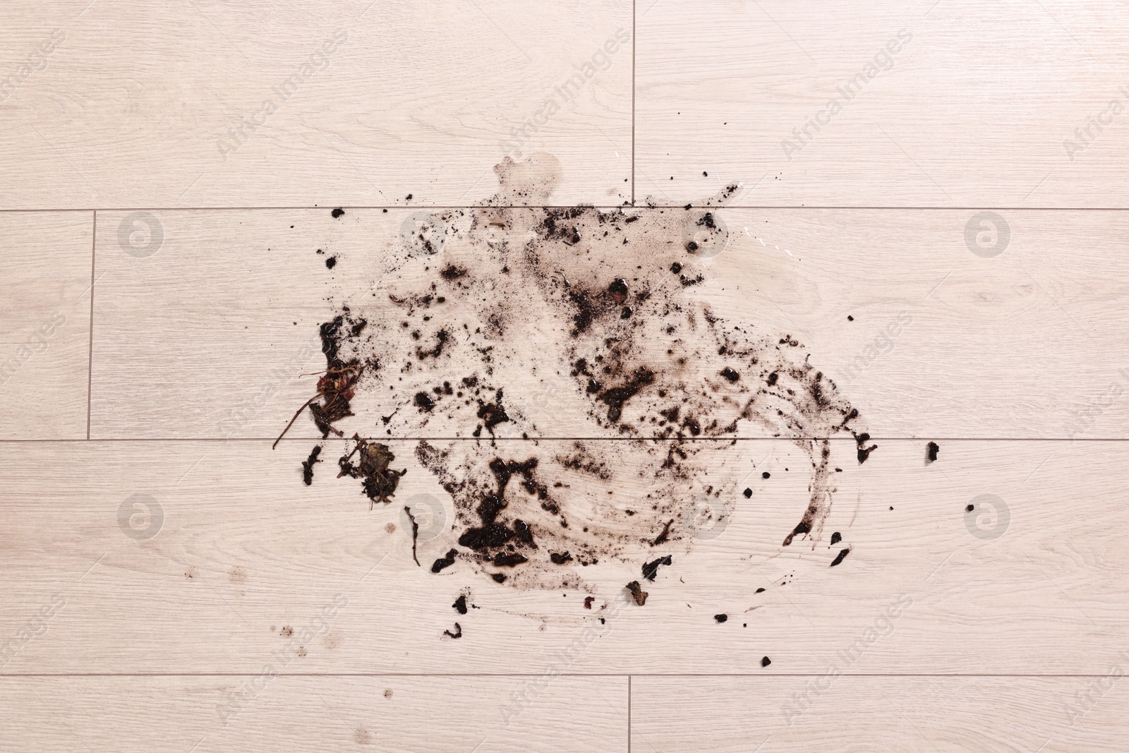 Photo of Mud stain on wooden floor indoors, top view