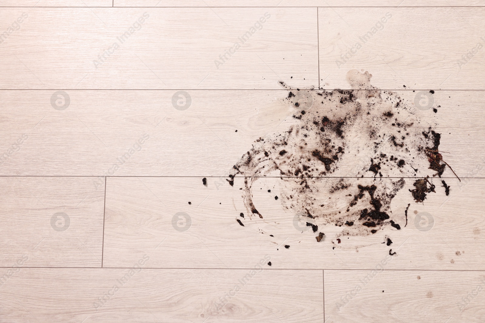 Photo of Mud stain on wooden floor indoors, top view. Space for text