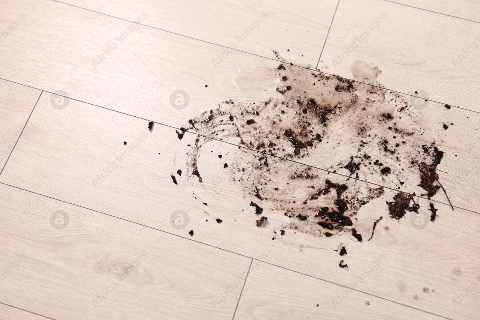 Photo of Mud stain on wooden floor indoors, closeup