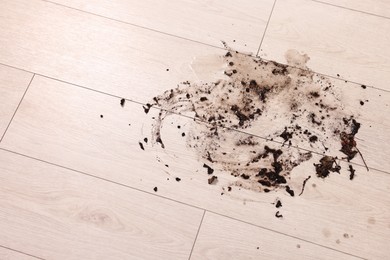 Photo of Mud stain on wooden floor indoors, closeup