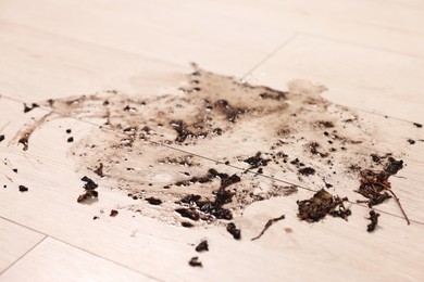 Photo of Mud stain on wooden floor indoors, closeup