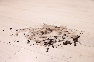 Photo of Mud stain on wooden floor indoors, closeup