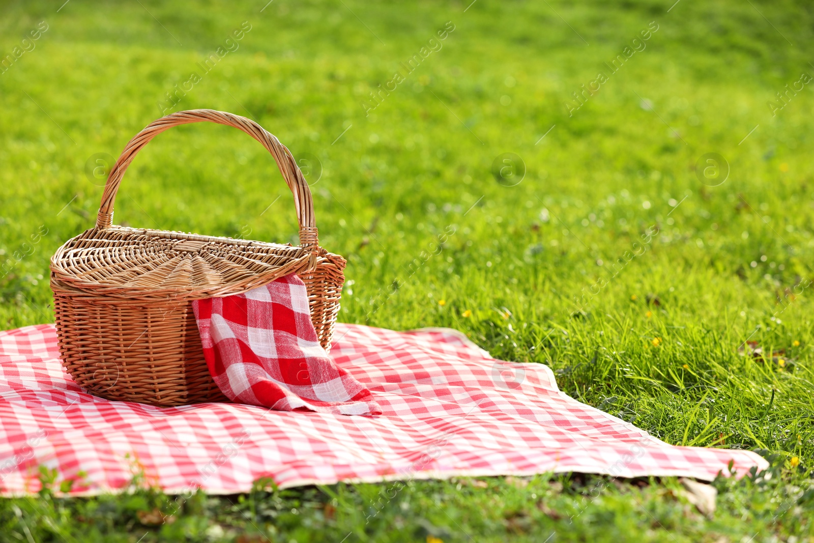 Photo of One picnic wicker basket with checkered napkin and blanket on green grass. Space for text