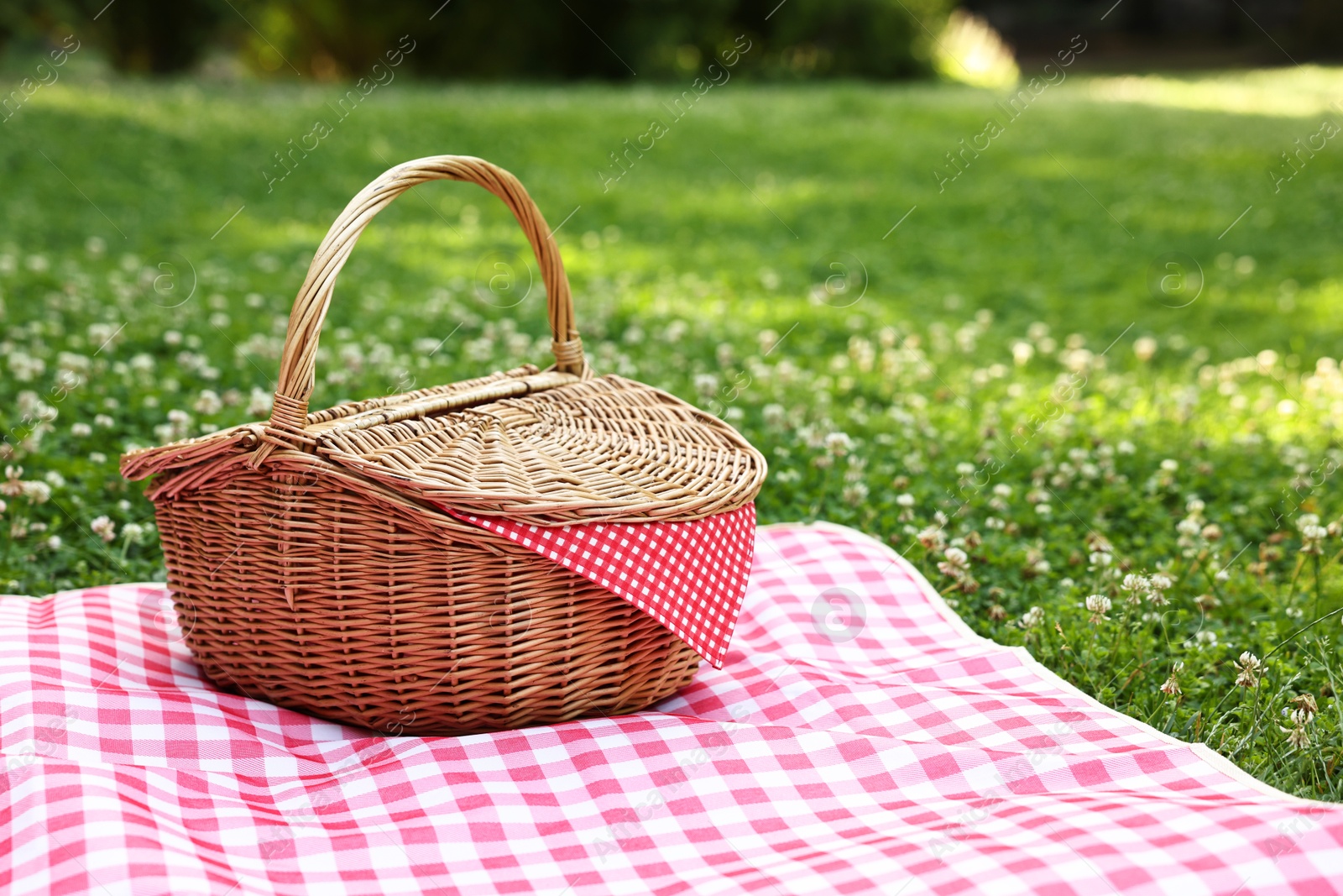 Photo of One picnic wicker basket with checkered napkin and blanket on green grass. Space for text