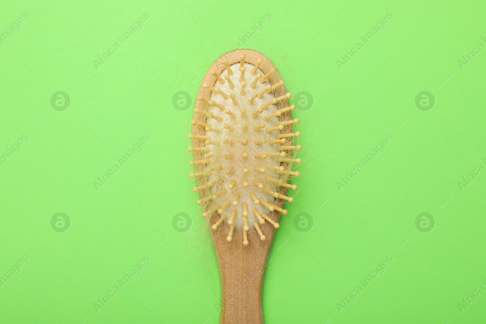 Photo of One brush with lost hair on light green background, top view