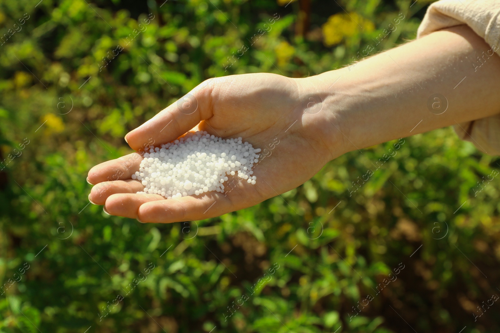 Photo of Woman holding white plant fertilizer outdoors, closeup