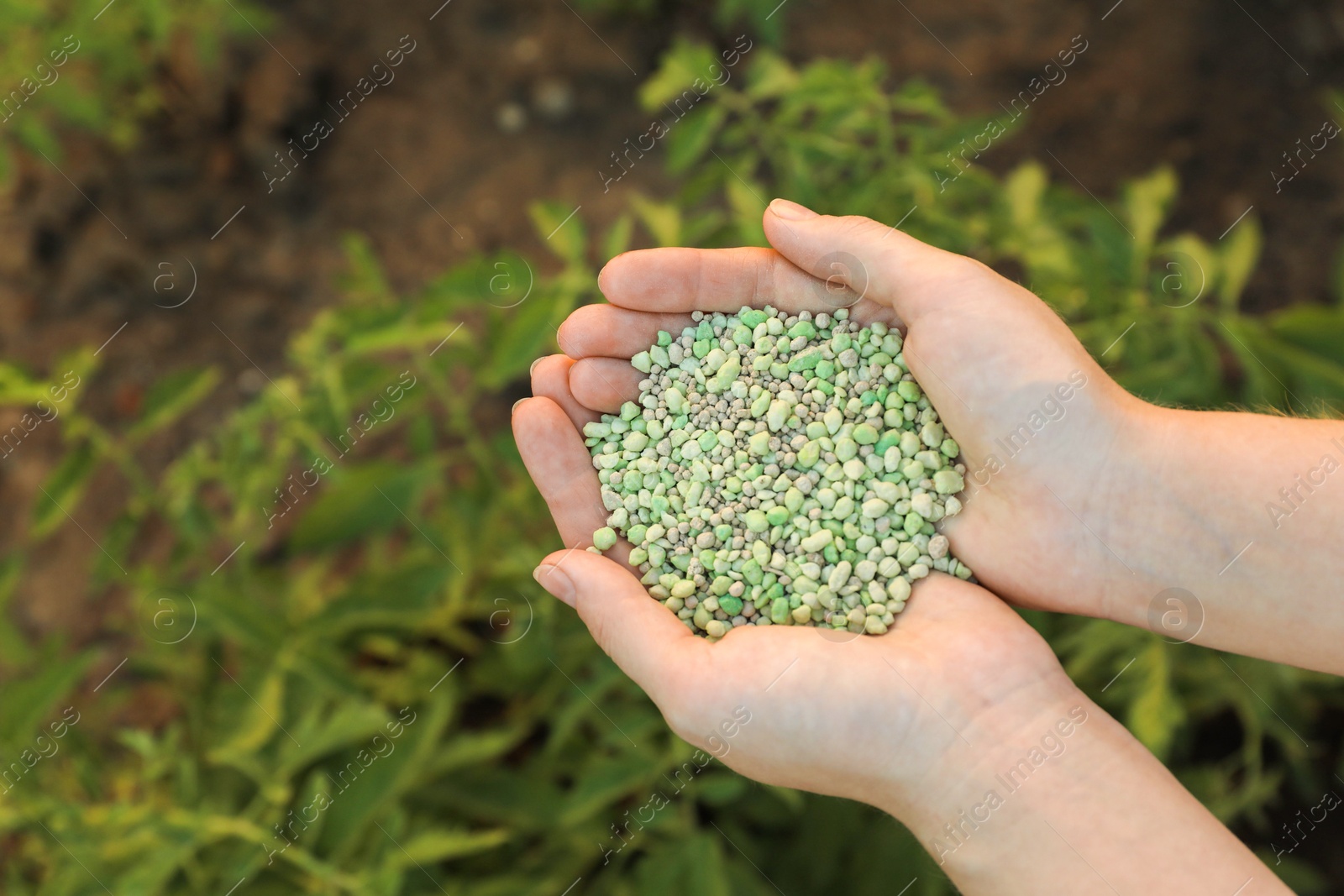 Photo of Woman holding green plant fertilizer outdoors, closeup. Space for text