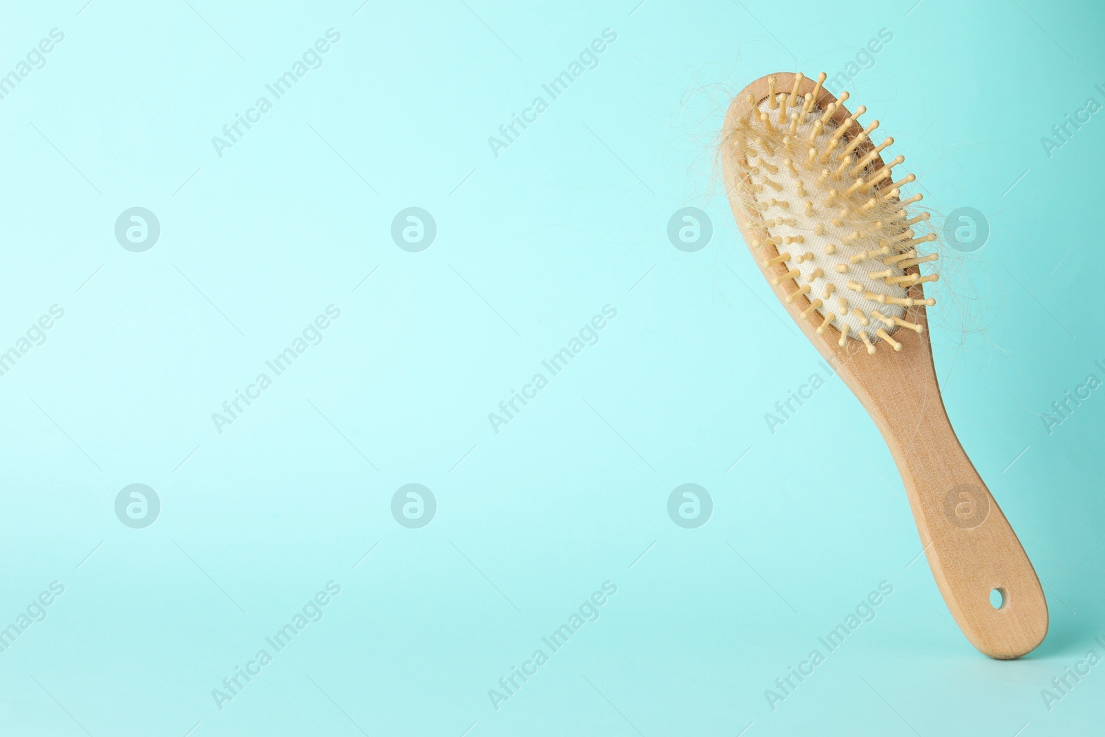 Photo of One brush with lost hair on light blue background, closeup. Space for text