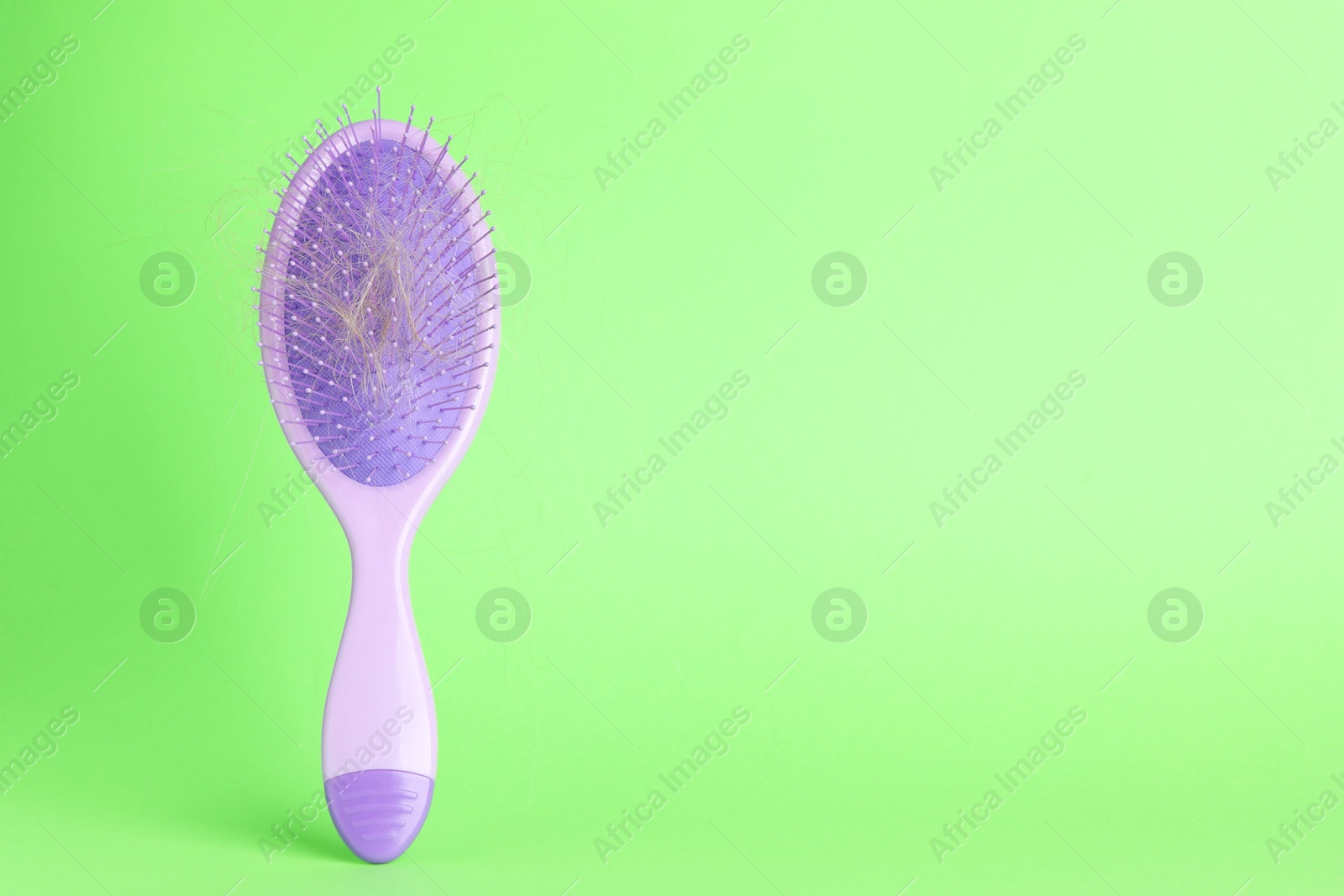 Photo of One brush with lost hair on green background, closeup. Space for text