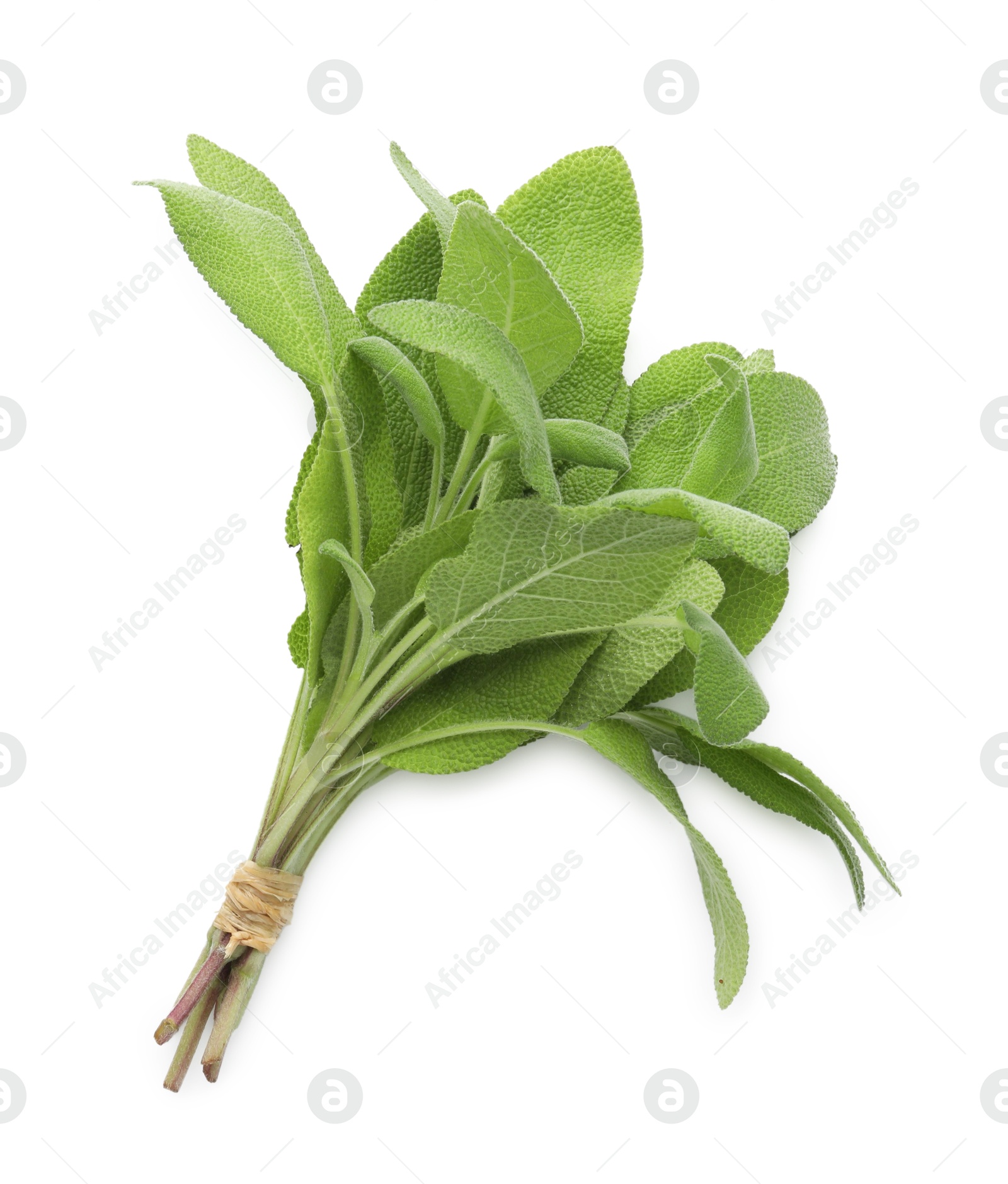 Photo of Bunch of green sage leaves isolated on white, top view