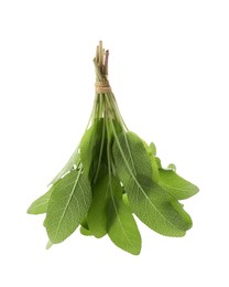 Photo of Bunch of green sage leaves isolated on white