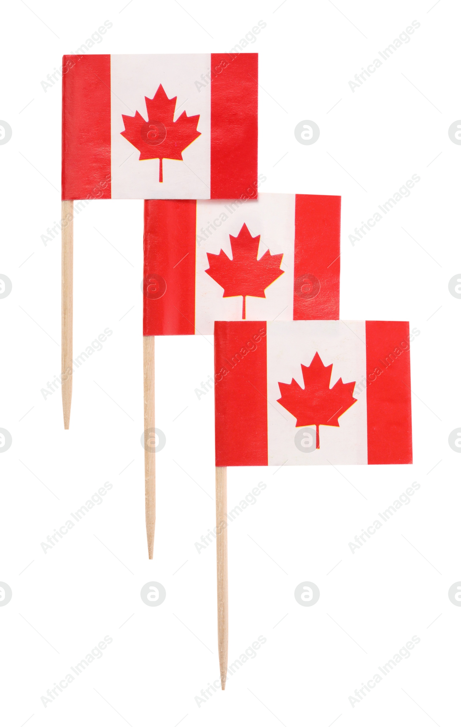 Photo of Small paper flags of Canada isolated on white