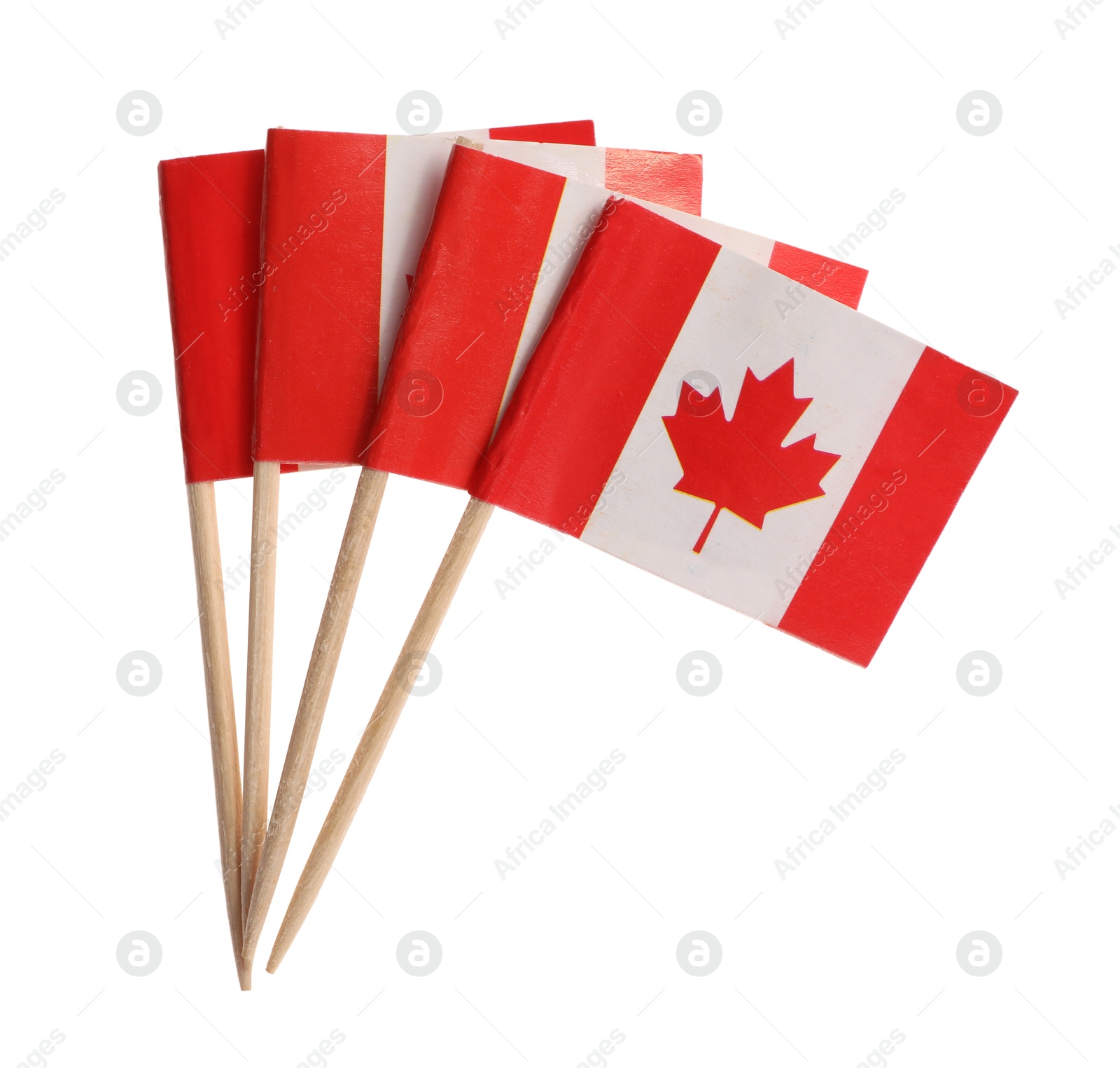 Photo of Small paper flags of Canada isolated on white