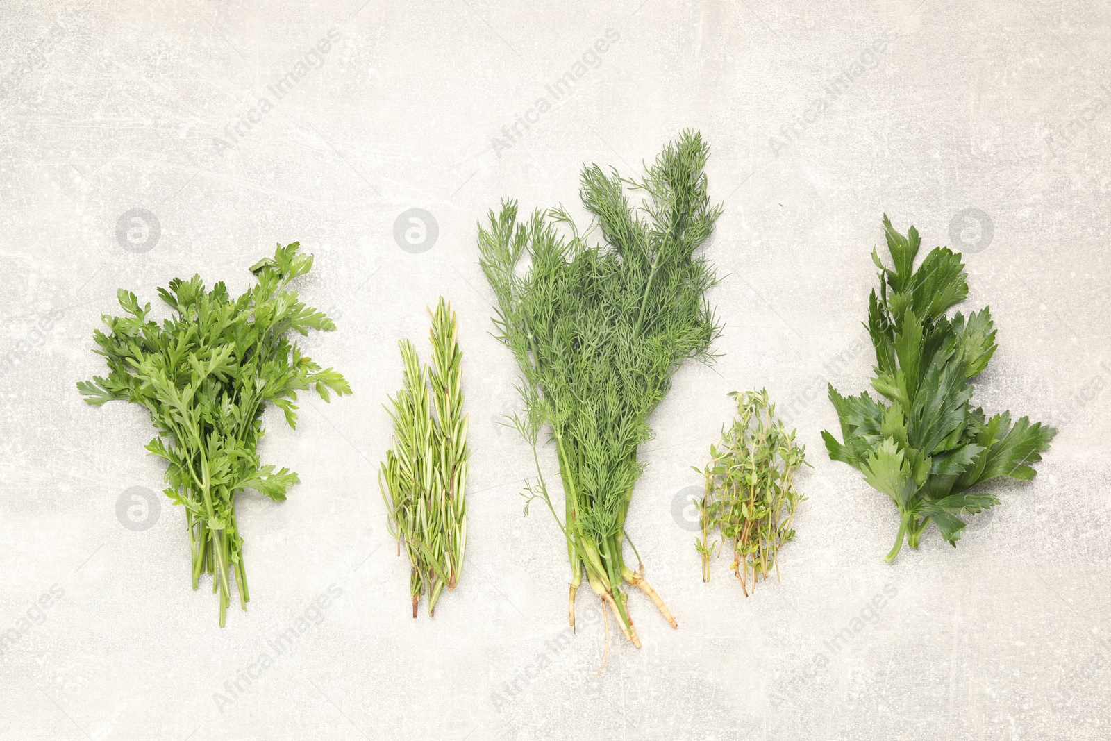 Photo of Different aromatic herbs on gray textured table, flat lay